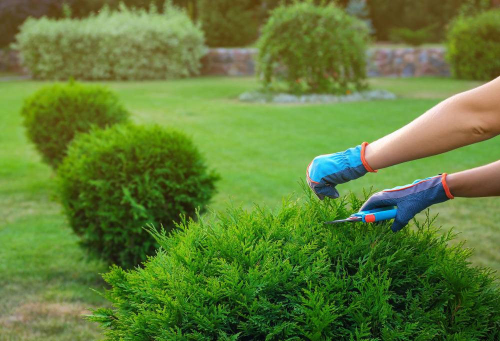 AdobeStock_283615522.jpeg AdobeStock_283615522.jpeg